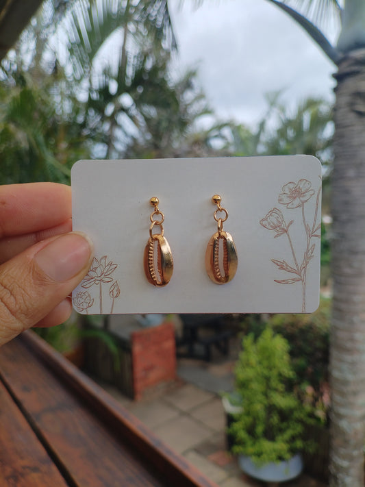 Golden cowries