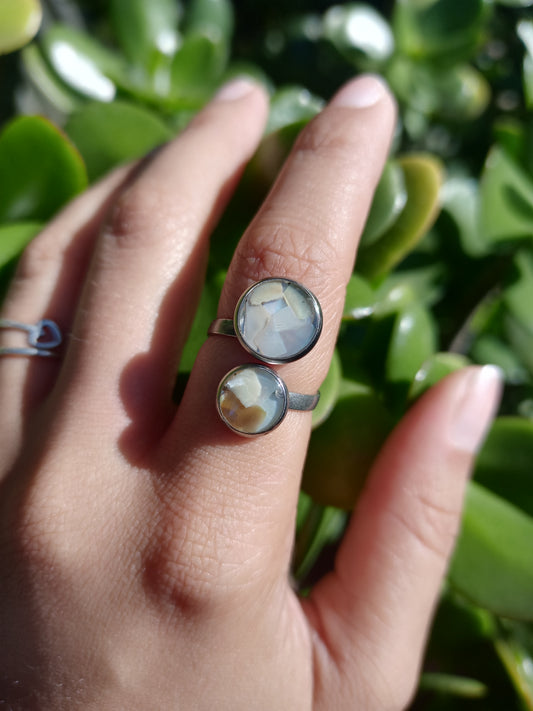 Seashells
