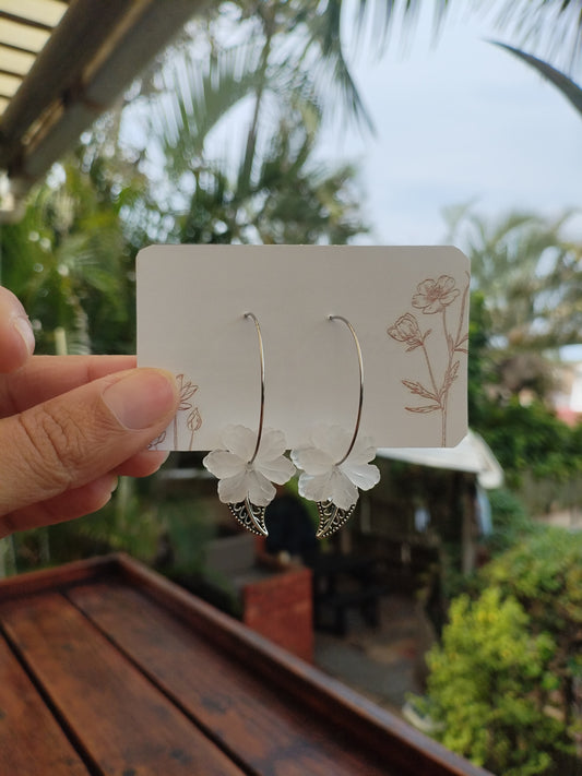 Perspex beauty