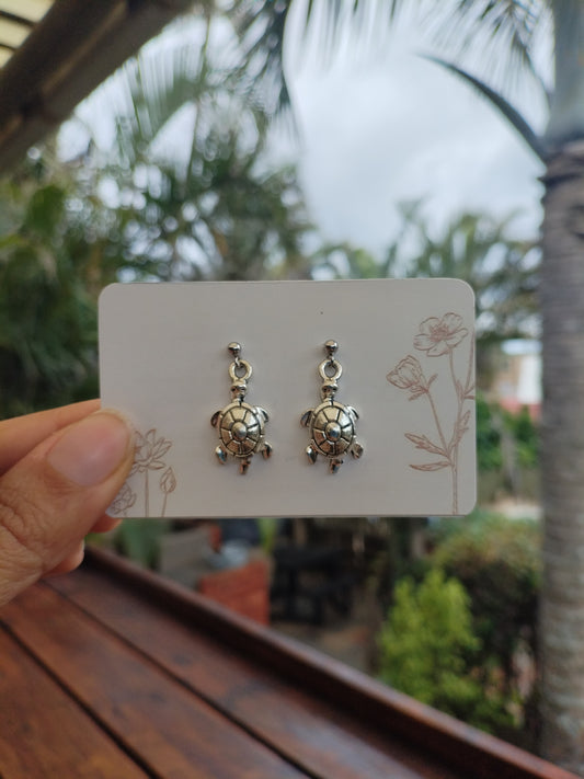 Silver turtles
