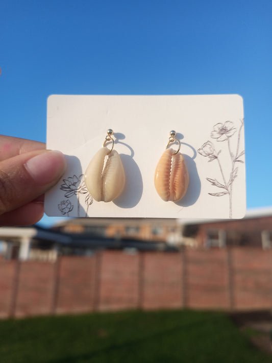 Cowries